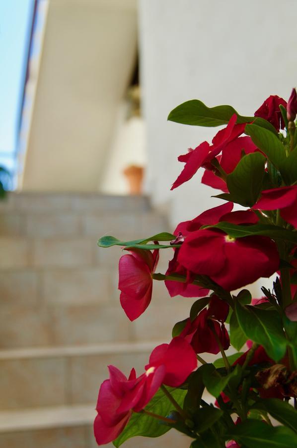 חוואר Apartments Petricevic מראה חיצוני תמונה